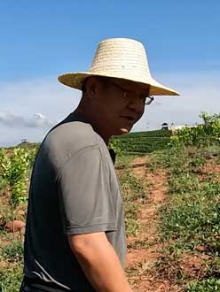 农业人叶涛，50多岁通讯人跨界搞农业，他要用1000万打造一个梦。